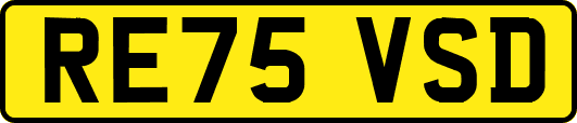 RE75VSD