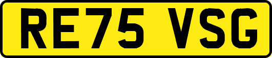 RE75VSG