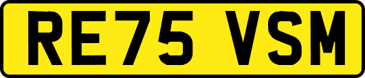 RE75VSM