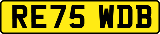 RE75WDB