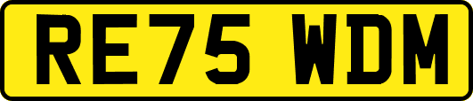 RE75WDM