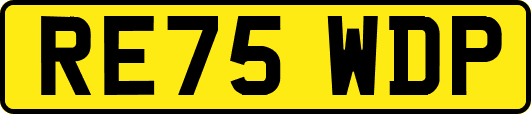 RE75WDP