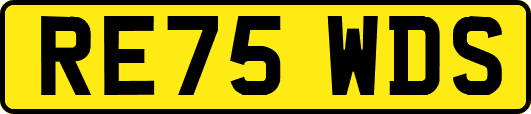 RE75WDS