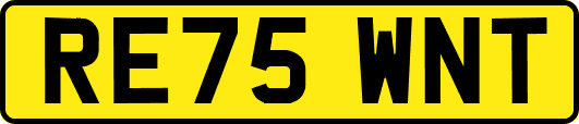 RE75WNT