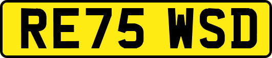 RE75WSD
