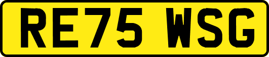 RE75WSG