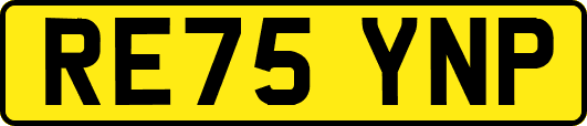 RE75YNP