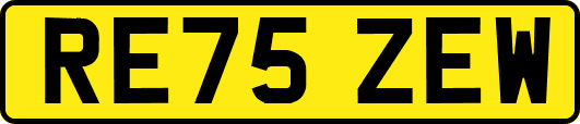 RE75ZEW