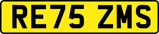 RE75ZMS