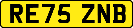 RE75ZNB
