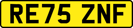 RE75ZNF