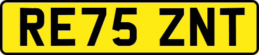 RE75ZNT