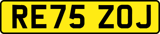 RE75ZOJ