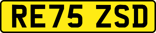 RE75ZSD