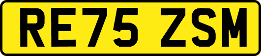 RE75ZSM