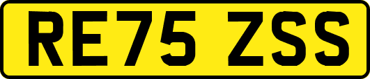RE75ZSS