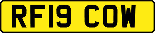 RF19COW
