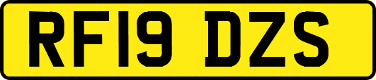 RF19DZS