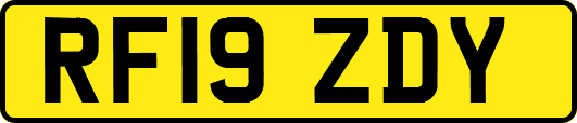 RF19ZDY