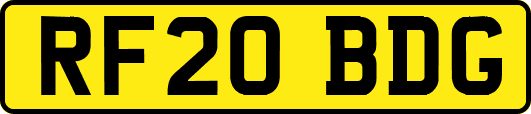 RF20BDG