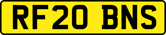 RF20BNS