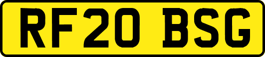 RF20BSG