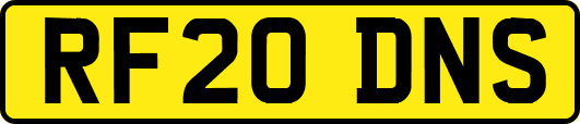 RF20DNS