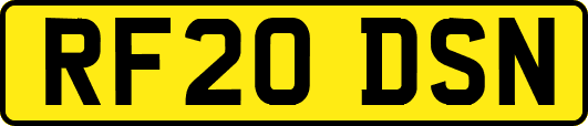 RF20DSN
