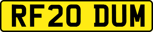 RF20DUM