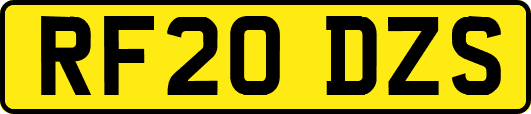 RF20DZS