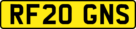 RF20GNS
