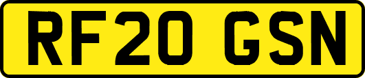 RF20GSN