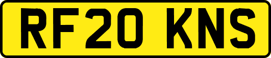RF20KNS