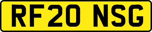 RF20NSG