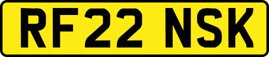 RF22NSK
