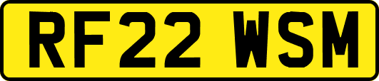 RF22WSM