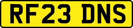 RF23DNS