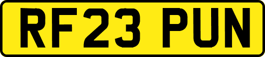 RF23PUN