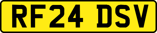 RF24DSV