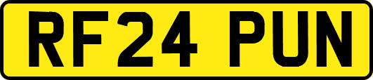 RF24PUN