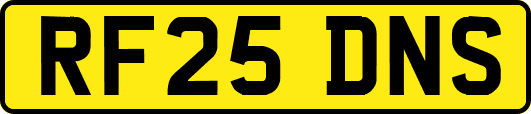 RF25DNS