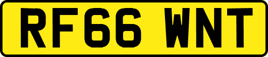 RF66WNT