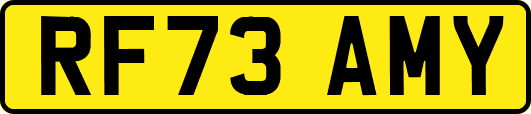 RF73AMY