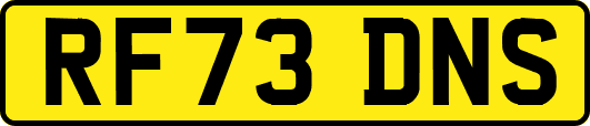 RF73DNS