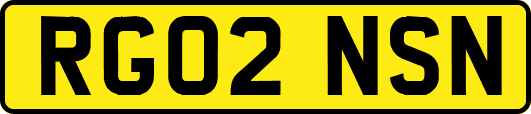 RG02NSN
