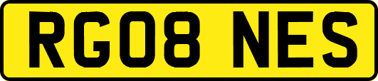RG08NES