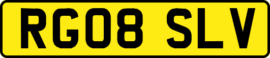 RG08SLV