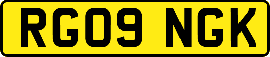 RG09NGK