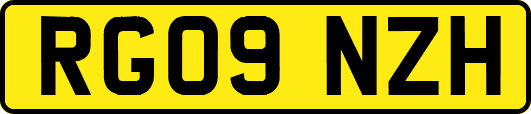RG09NZH