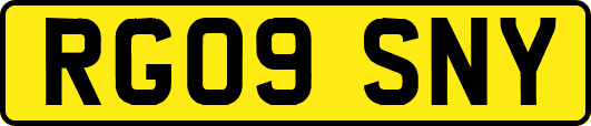 RG09SNY
